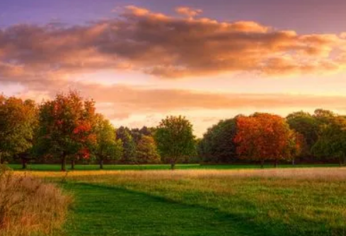 1687767541863578.png image.png