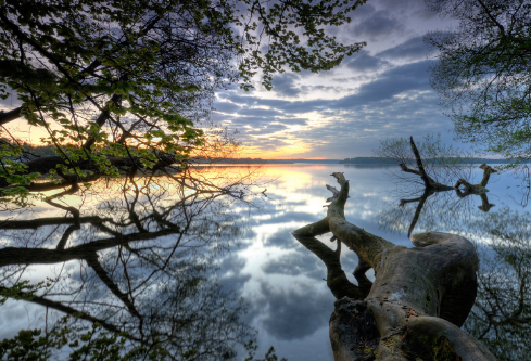 1687768878465176.png image.png