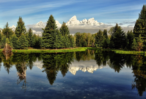 1687772385236806.png image.png