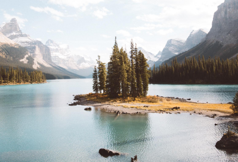 1687776058610136.png image.png