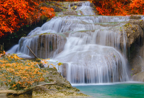 1687777565481934.png image.png