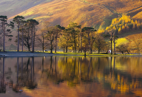 1687783736124723.png image.png