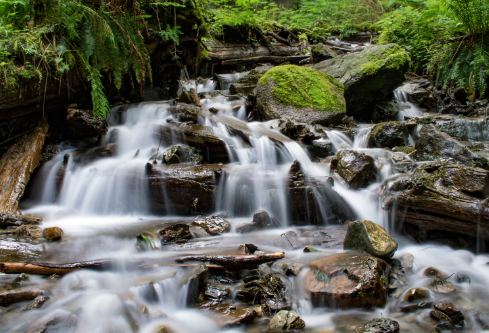 1687790085124175.png image.png