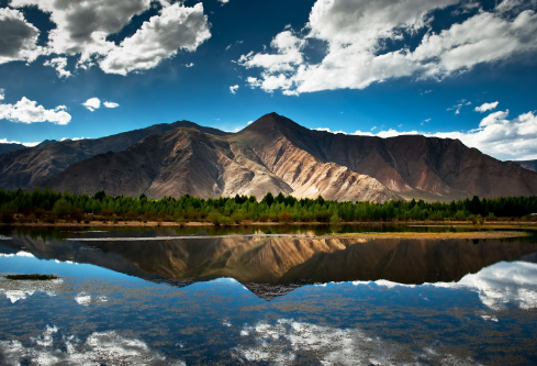 1687790751515240.png image.png