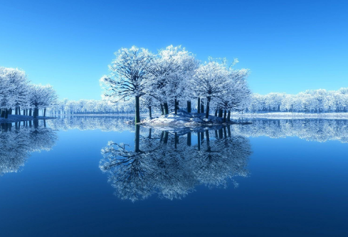 1687791417365675.png image.png