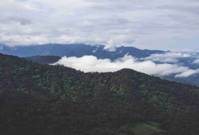 ​神字开头的成语有哪些（有关神字开头的成语故事）