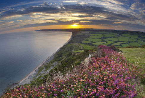 1687792417582905.png image.png