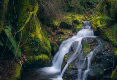 ​马云100字励志小故事（关于马云的励志故事）