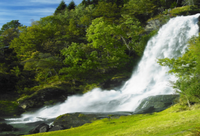 ​有关动物的成语故事（带有动物的名言）