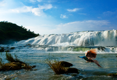 1687859597525057.png image.png