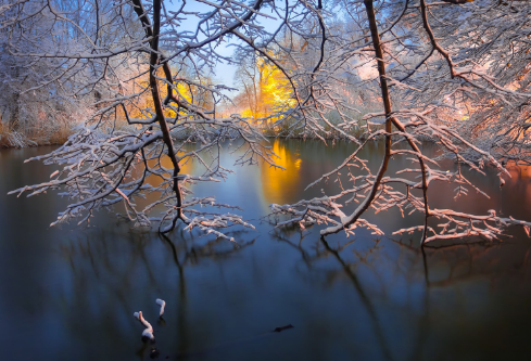 1687860595795571.png image.png