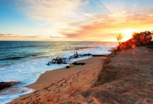 1687860762480414.png image.png