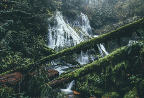 1687861095705881.png image.png