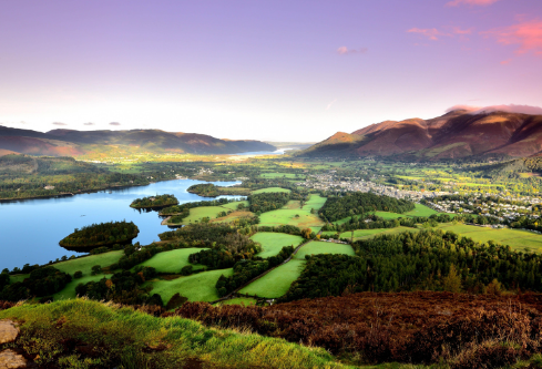 1688069881592987.png image.png