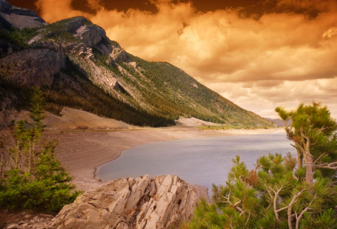 1688071718727510.png image.png