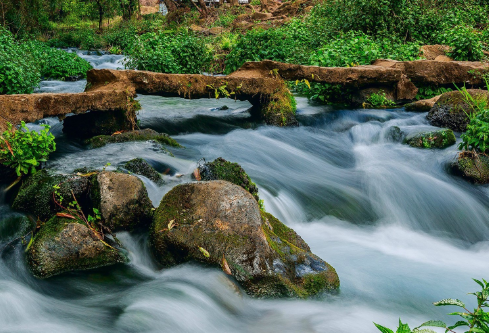 1688073554660889.png image.png