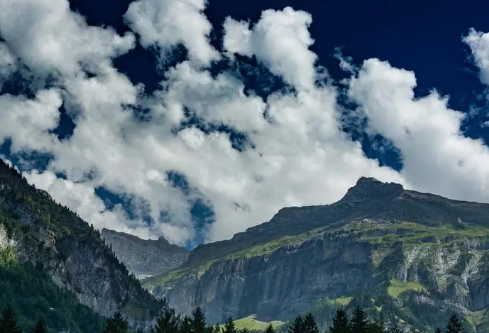 1688076390292171.png image.png