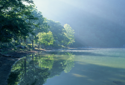 1688079228209720.png image.png