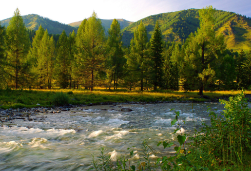 1688079395809279.png image.png