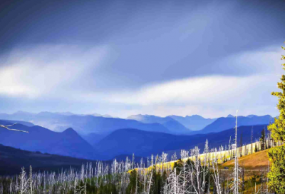 ​40个经典励志小故事全文