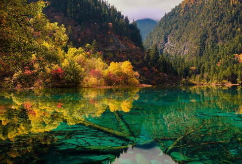 1688083233935794.png image.png