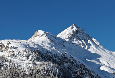 1688084068865050.png image.png