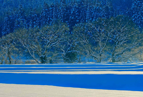 1688084235636697.png image.png