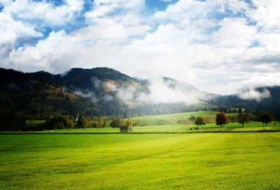 ​儿童睡前故事拇指姑娘44篇