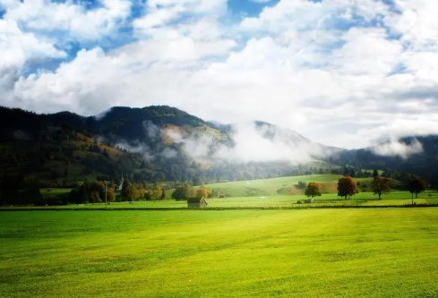 1688087572154605.png image.png