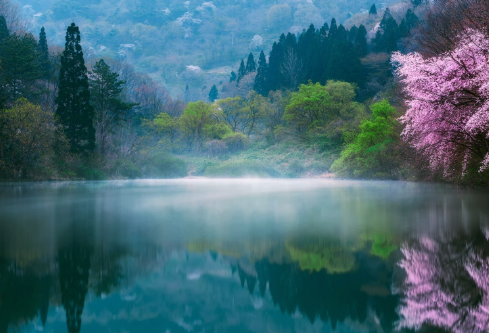 1688087905248118.png image.png