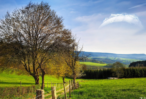 1688095747275855.png image.png