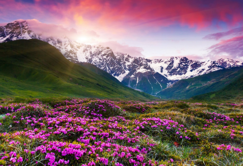 1688103087645698.png image.png