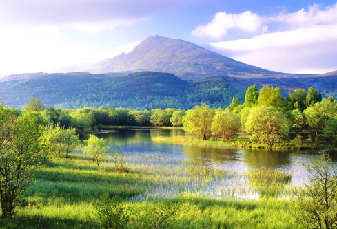 1688104589168894.png image.png