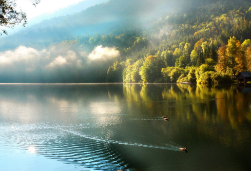 1688108258261212.png image.png