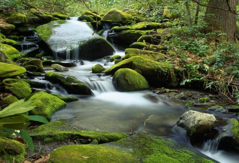 1688108592516557.png image.png