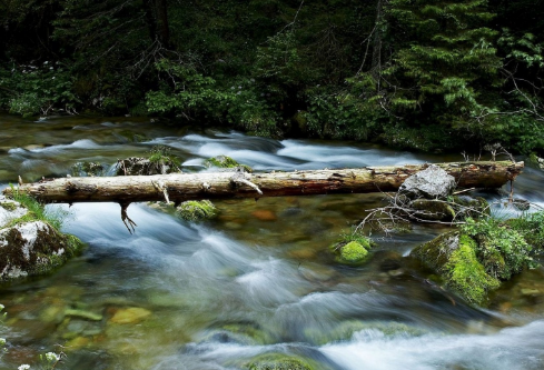 1688110103956901.png image.png