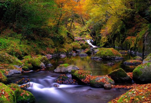 1688112451367060.png image.png