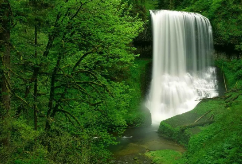 1688112787258457.png image.png