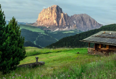 ​儿童睡前故事豌豆公主44篇