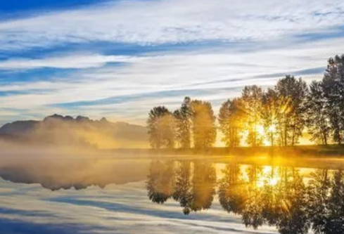 1688118458601500.png image.png