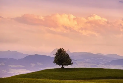 ​儿童故事书大全阅读25篇