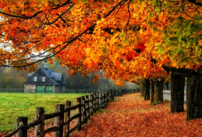 ​20个寓言故事合集