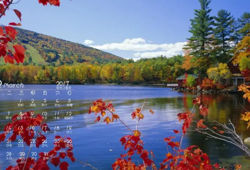 1688123463469523.png image.png