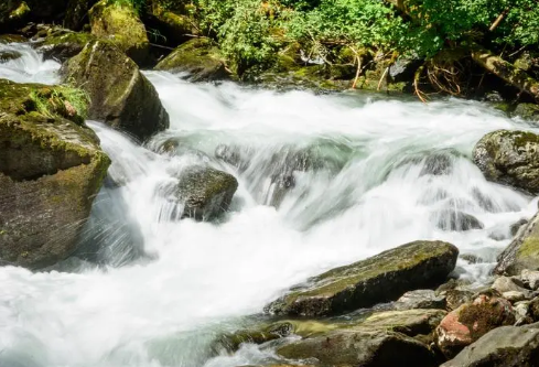 1688124464572149.png image.png