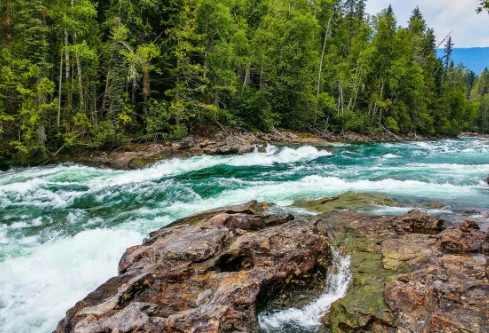 1688124630484832.png image.png