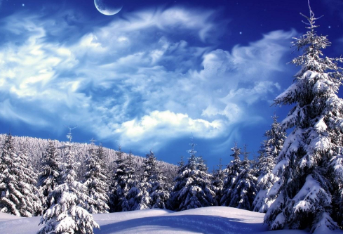 1688125298329020.png image.png