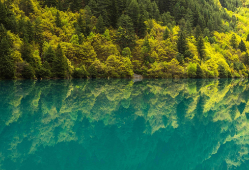 1688126299384868.png image.png