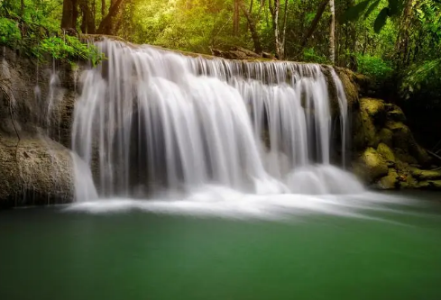 1688126465909421.png image.png