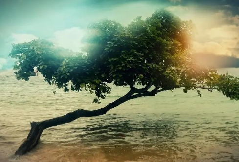 1688126966687144.png image.png