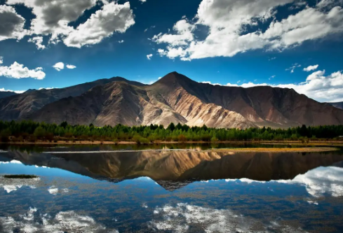 1688128300733001.png image.png